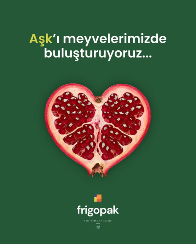 FRİGOPAK 